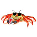 coolcrab.gif