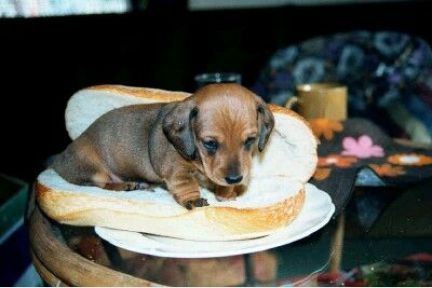 hottdog.jpg