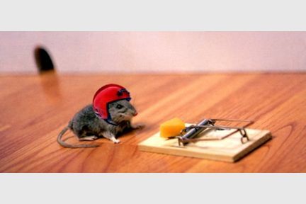 mousesports.jpg